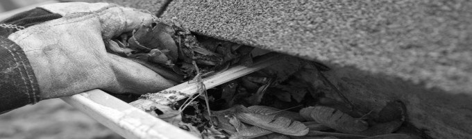 Guttering Services in Morristown, TN