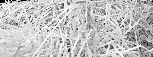 Paper Shredding in Cost Guides, 
